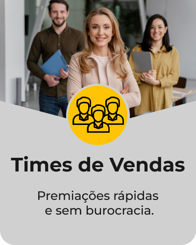 Time de Vendas